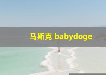 马斯克 babydoge